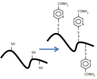 Preactivated thiomers